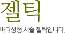 젤틱